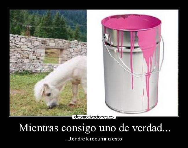 Mientras consigo uno de verdad... - 