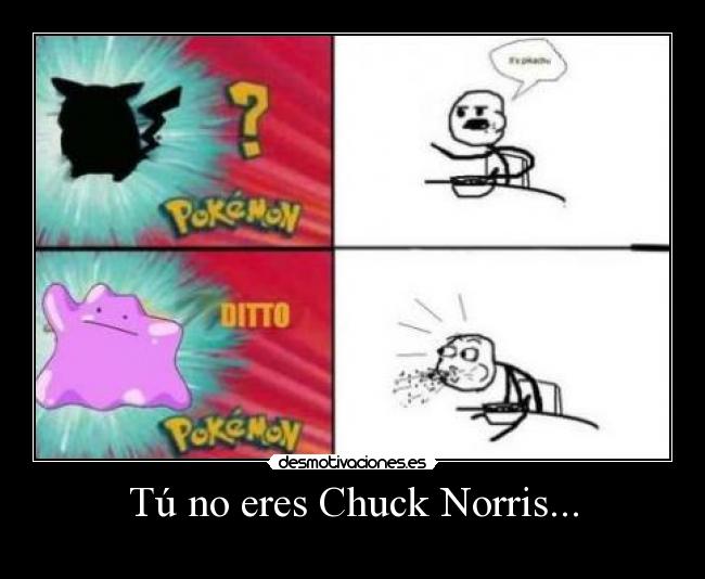 Tú no eres Chuck Norris... -