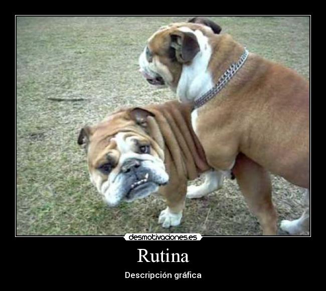 Rutina -