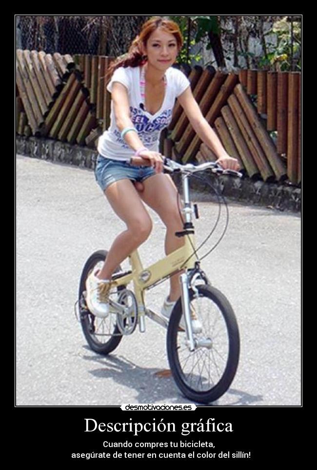 Descripción gráfica - 