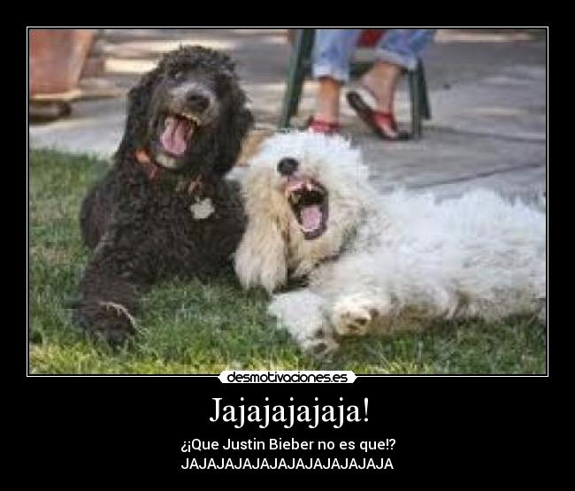 Jajajajajaja! - ¿¡Que Justin Bieber no es que!?
JAJAJAJAJAJAJAJAJAJAJAJA