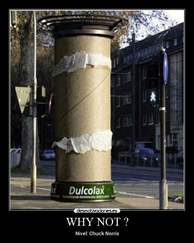 WHY NOT ? - 