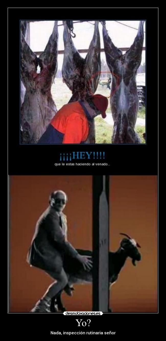 carteles torrente desmotivaciones