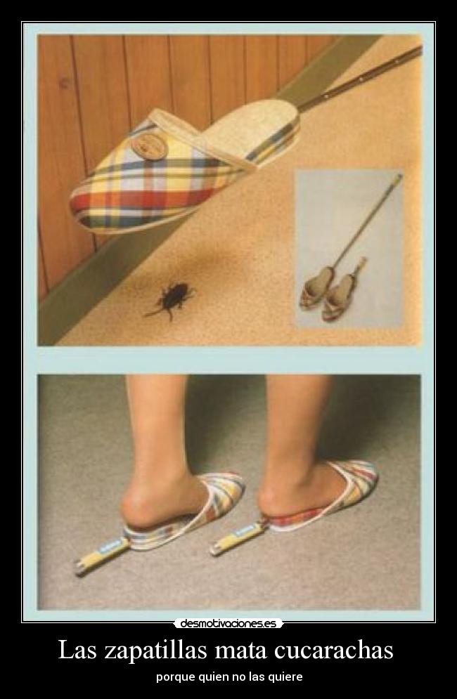 Las zapatillas mata cucarachas  - 