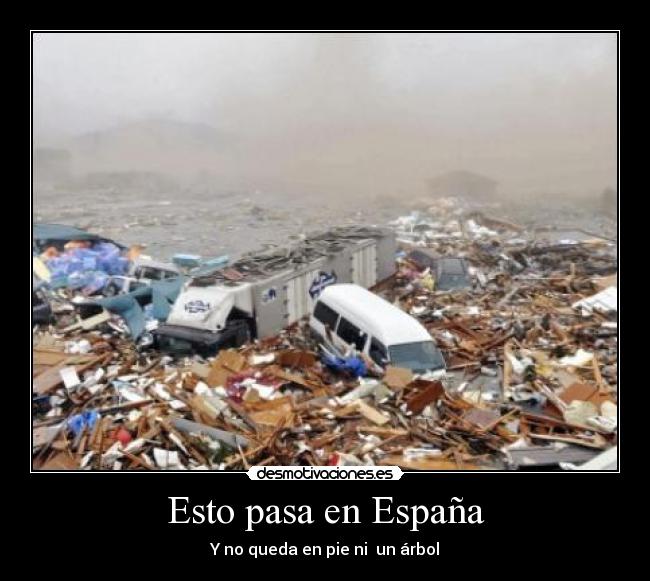 Esto pasa en España - Y no queda en pie ni  un árbol