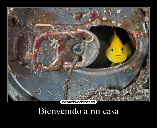 Bienvenido a mi casa -