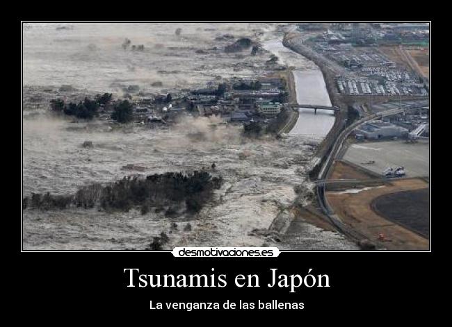Tsunamis en Japón -