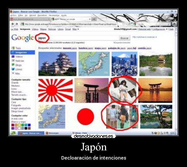 Japón - Decloaración de intenciones