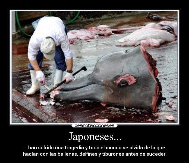 Japoneses... -