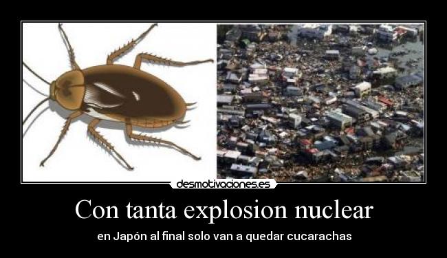 Con tanta explosion nuclear - en Japón al final solo van a quedar cucarachas