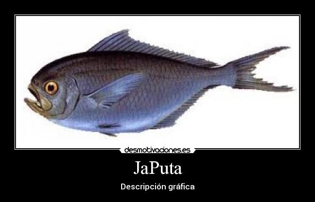 JaPuta - 