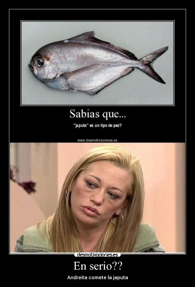 En serio?? - Andreita comete la japuta