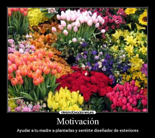 Motivación - Ayudar a tu madre a plantarlas y sentirte diseñador de exteriores