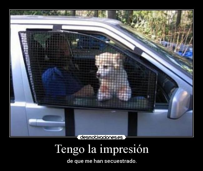 Tengo la impresión - 