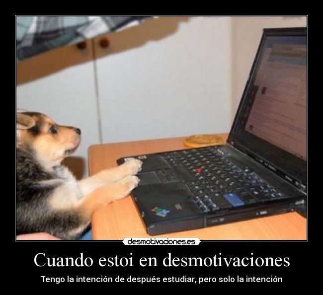 carteles desmotivaciones david_paridas desmotivaciones