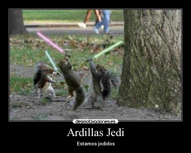 carteles ardillas desmotivaciones