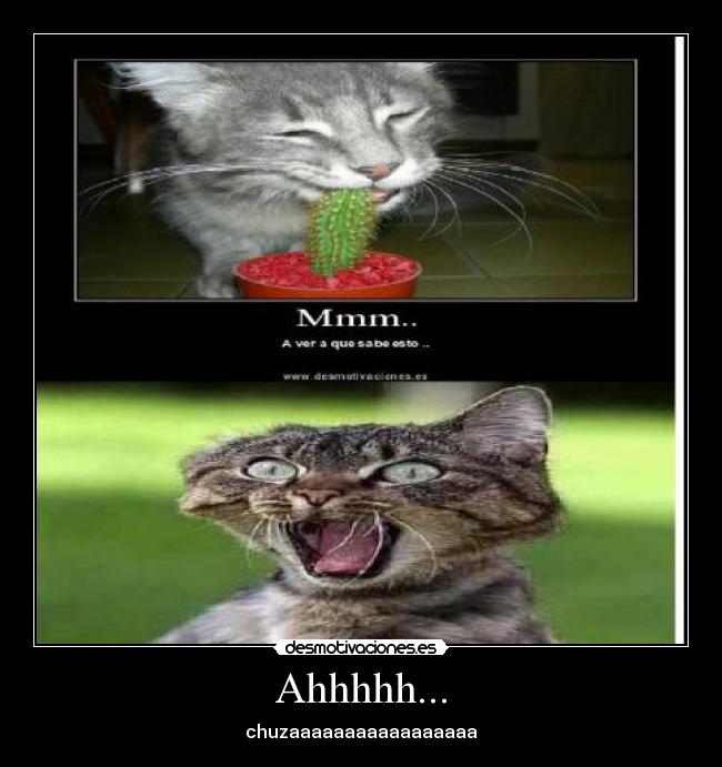 Ahhhhh... - chuzaaaaaaaaaaaaaaaaa