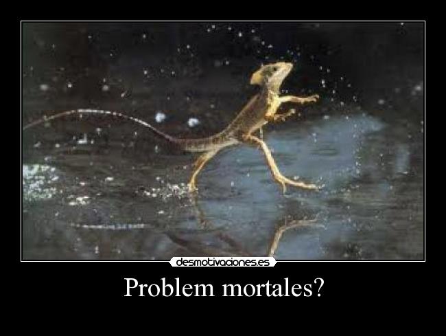 Problem mortales? - 