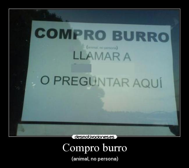 Compro burro - 