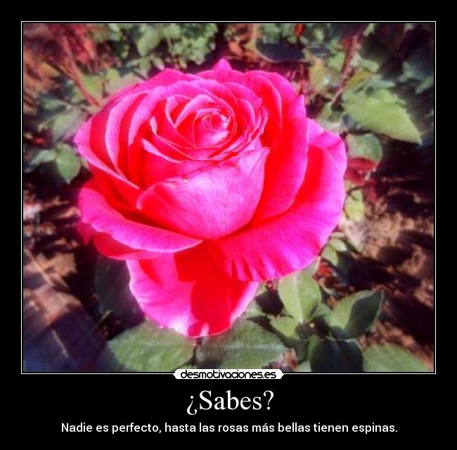 ¿Sabes? -
