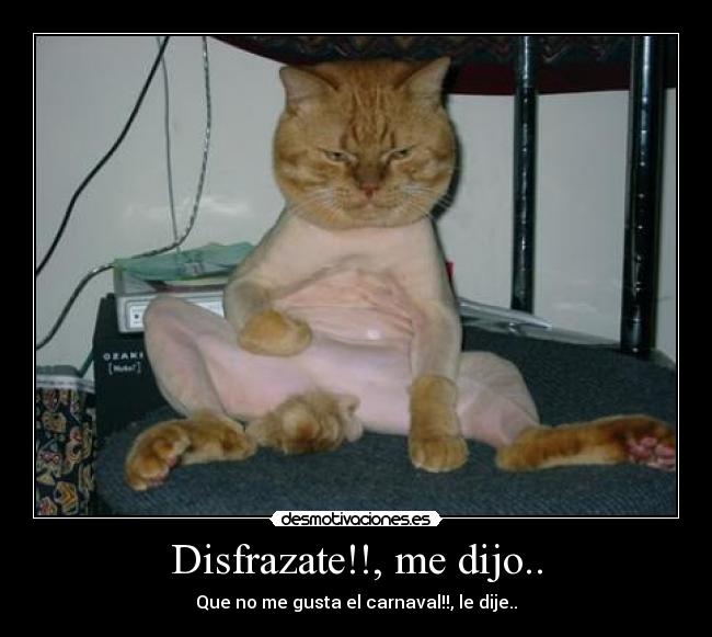 Disfrazate!!, me dijo.. - Que no me gusta el carnaval!!, le dije..