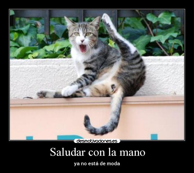 Saludar con la mano - 