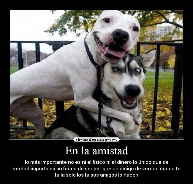 carteles amistad amistadamigofalsosfisicodinero desmotivaciones