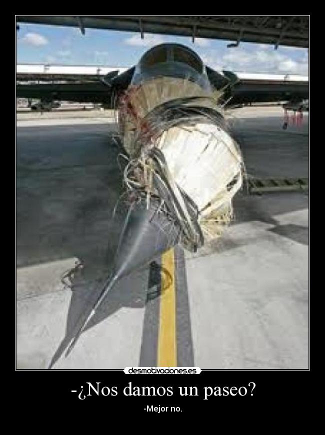 -¿Nos damos un paseo? -