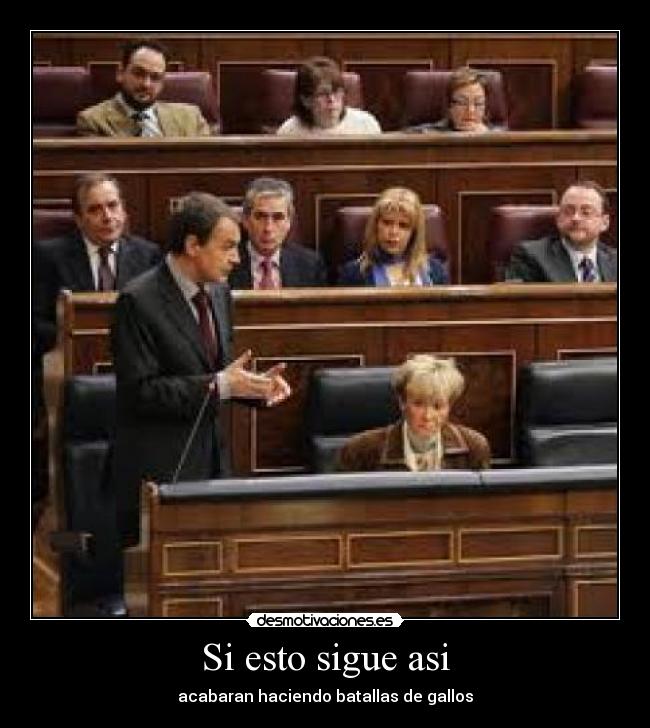 Si esto sigue asi - acabaran haciendo batallas de gallos