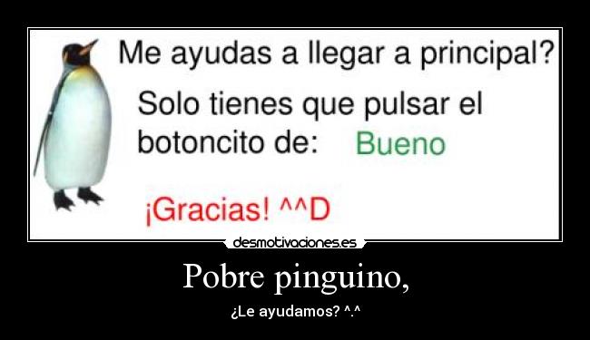 Pobre pinguino, - 