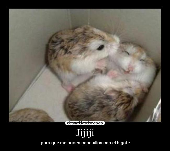 Jijiji - para que me haces cosquillas con el bigote