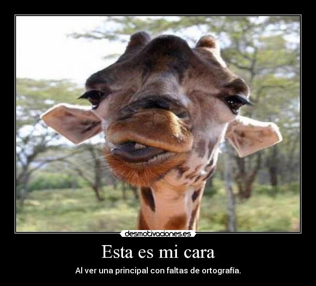 Esta es mi cara - Al ver una principal con faltas de ortografía.