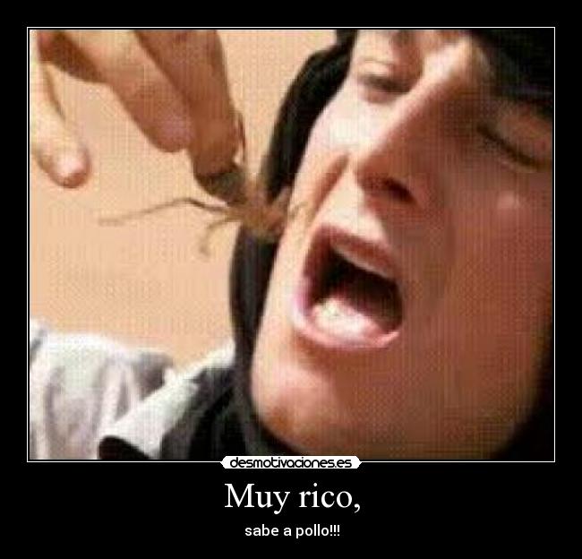 Muy rico, - sabe a pollo!!!