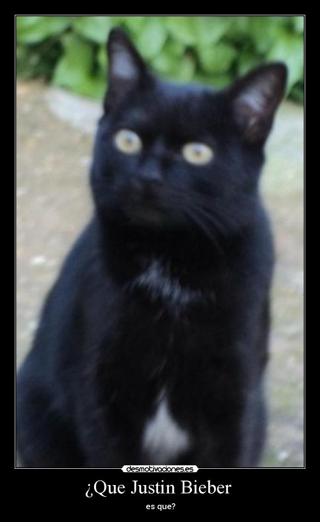 ¿Que Justin Bieber  - 