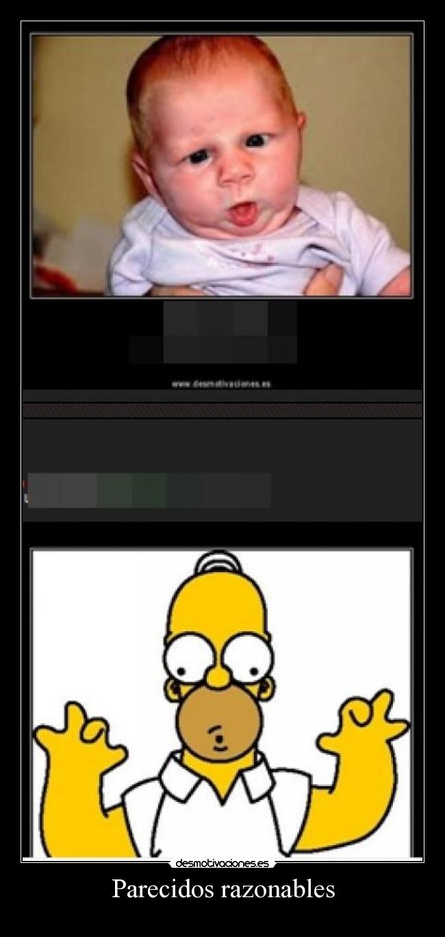 Parecidos razonables -