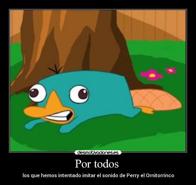 carteles perry desmotivaciones