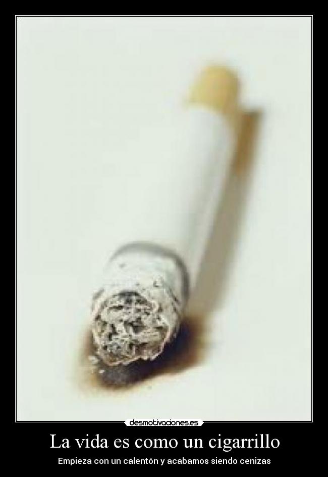 La vida es como un cigarrillo - Empieza con un calentón y acabamos siendo cenizas