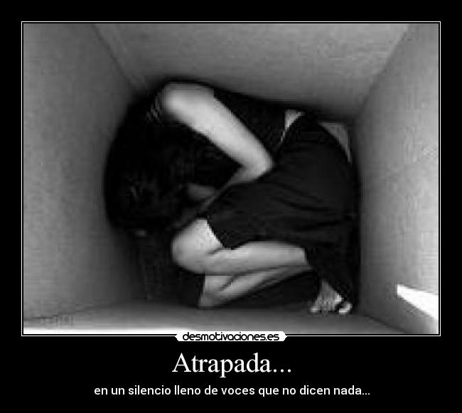 carteles atrapada desmotivaciones