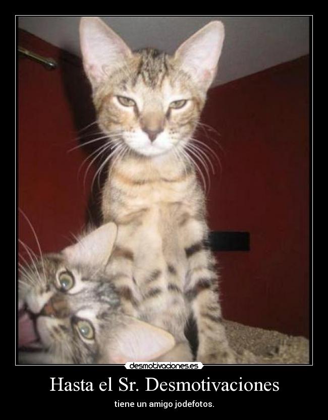 carteles desmotivaciones jodefotos desmotivaciones