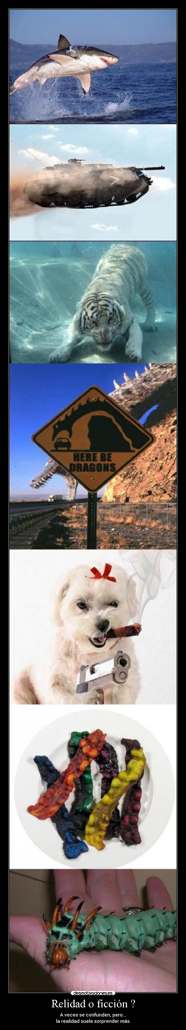 Relidad o ficción ? - A veces se confunden, pero...
la realidad suele sorprender más.