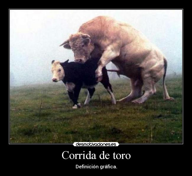 Corrida de toro -