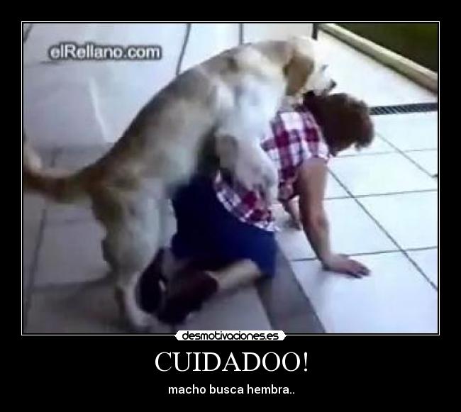 CUIDADOO! -