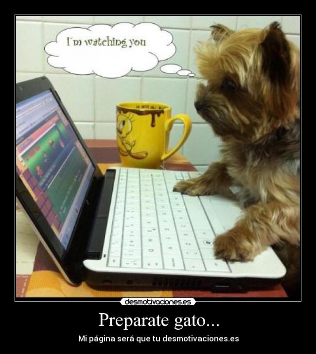 carteles reto desmotivaciones