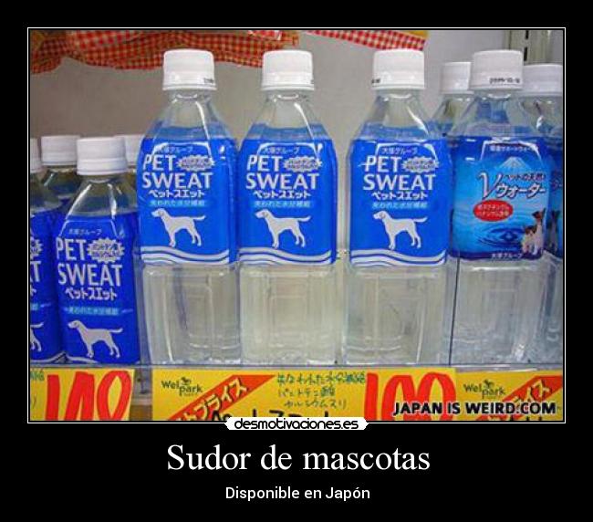 Sudor de mascotas - Disponible en Japón