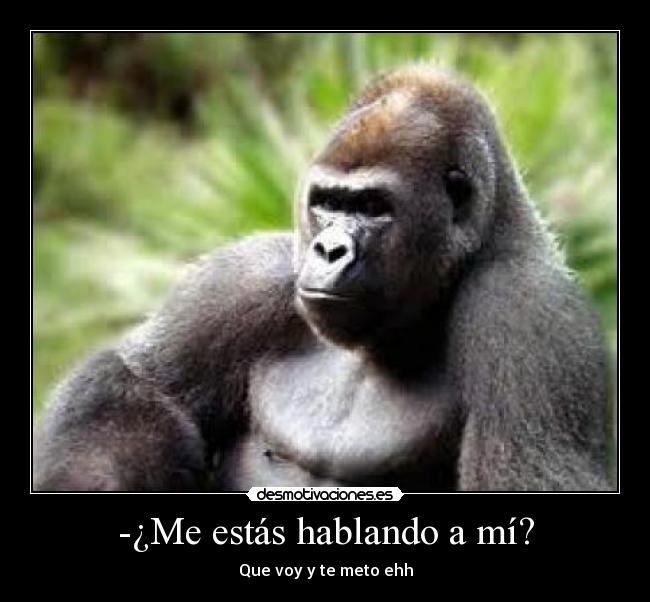 -¿Me estás hablando a mí? -