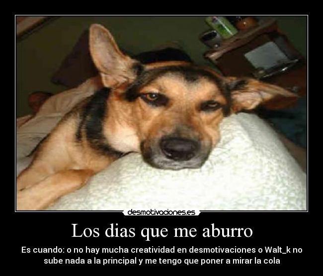 Los dias que me aburro - 
