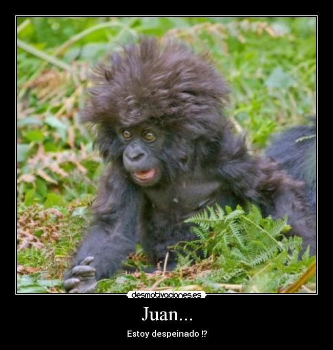 Juan... -