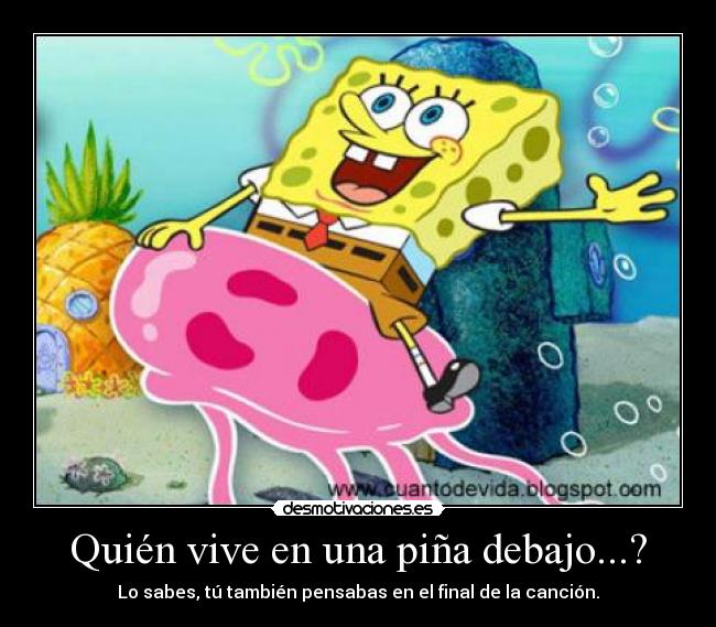 carteles bob esponja dibujos motiva desmotivaciones
