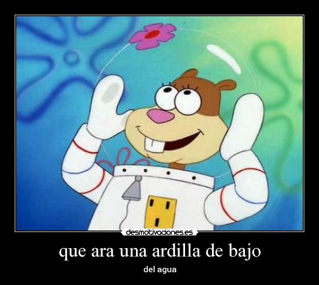 que ara una ardilla de bajo -