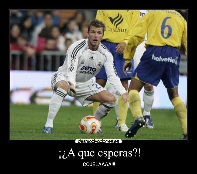 ¡¿A que esperas?! - COJELAAAA!!!